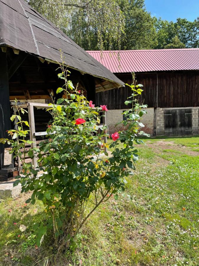 Apartamento Schellnhof Forsthaus Am Waldrand Nidda Exterior foto